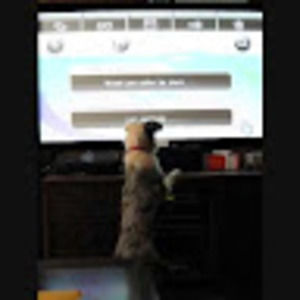 Meet your Posher, Mitchell